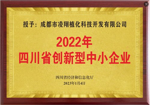 upload/20250624143708845.png